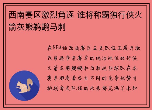 西南赛区激烈角逐 谁将称霸独行侠火箭灰熊鹈鹕马刺