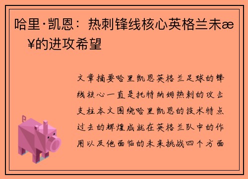 哈里·凯恩：热刺锋线核心英格兰未来的进攻希望