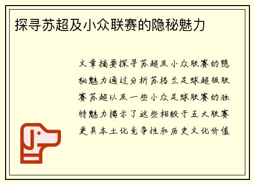 探寻苏超及小众联赛的隐秘魅力