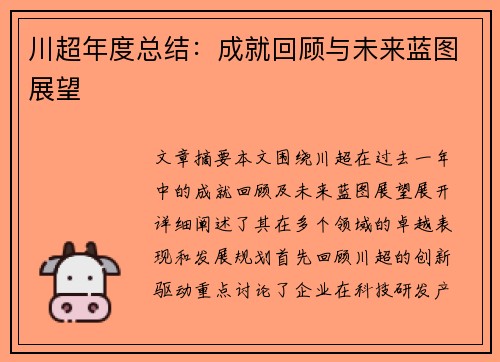 川超年度总结：成就回顾与未来蓝图展望